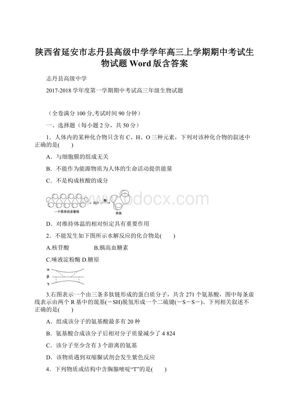 陕西省延安市志丹县高级中学学年高三上学期期中考试生物试题 Word版含答案Word下载.docx