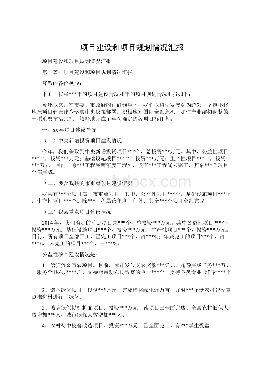 项目建设和项目规划情况汇报Word格式.docx