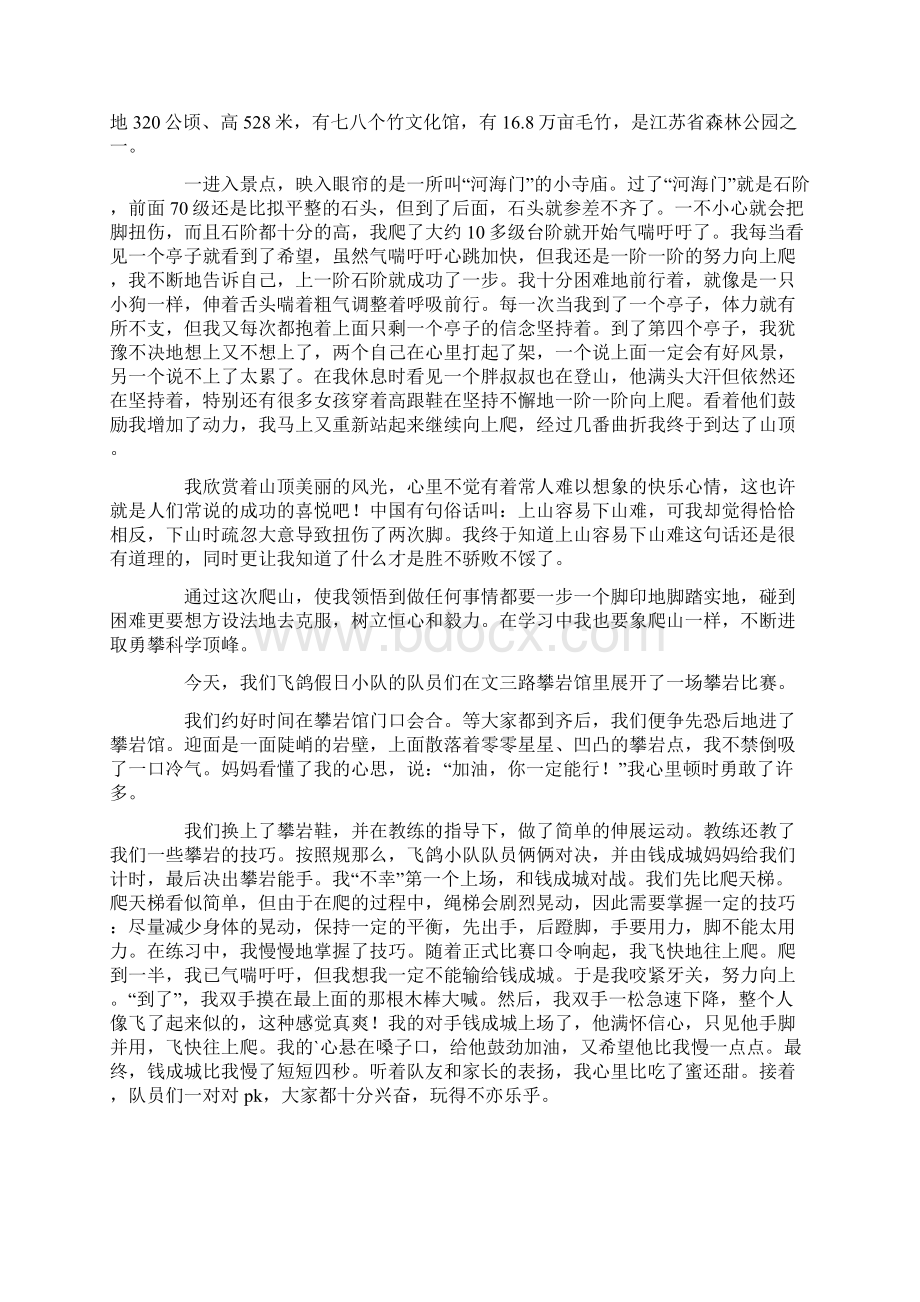 勇攀高峰作文范文Word格式文档下载.docx_第2页