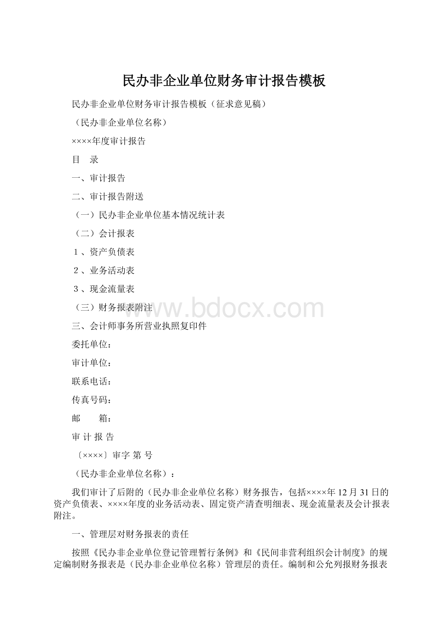 民办非企业单位财务审计报告模板Word下载.docx_第1页