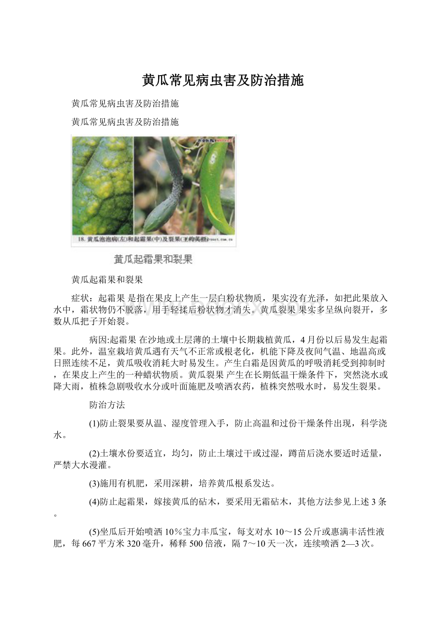 黄瓜常见病虫害及防治措施文档格式.docx