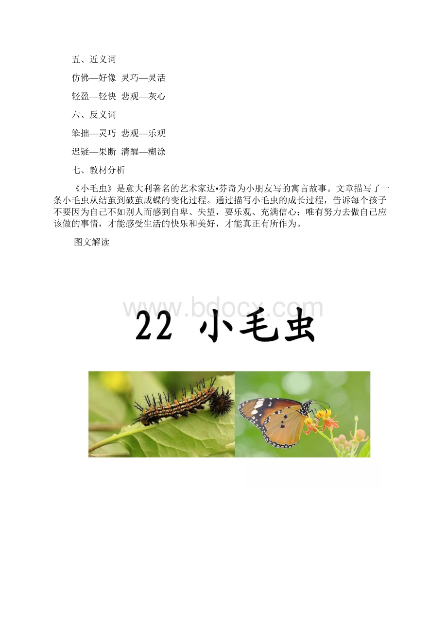 部编版二年级下册语文课文22小毛虫知识点+图文解读.docx_第2页