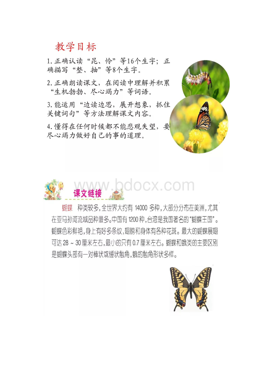 部编版二年级下册语文课文22小毛虫知识点+图文解读.docx_第3页