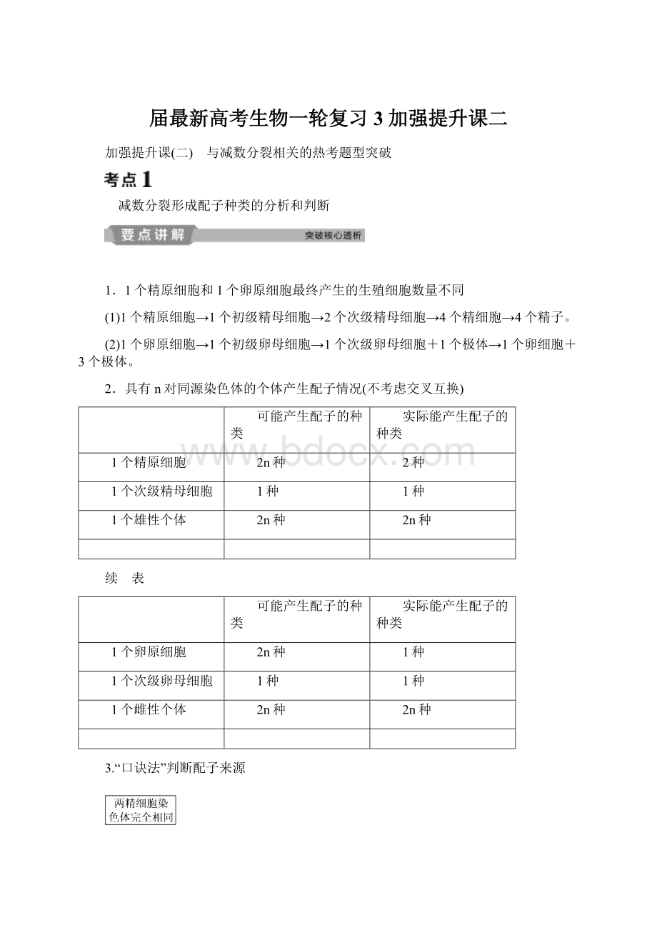 届最新高考生物一轮复习3 加强提升课二.docx