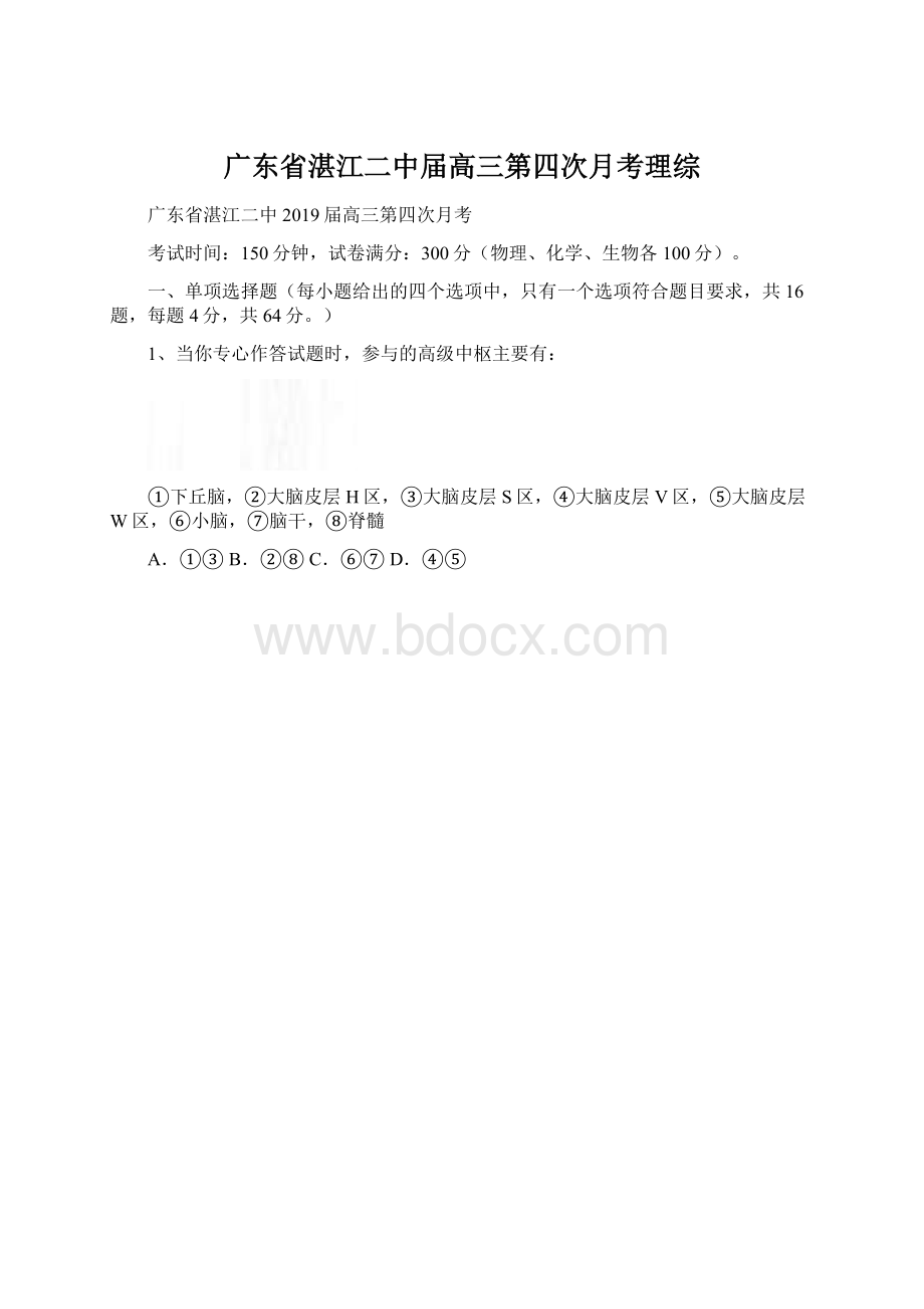 广东省湛江二中届高三第四次月考理综.docx