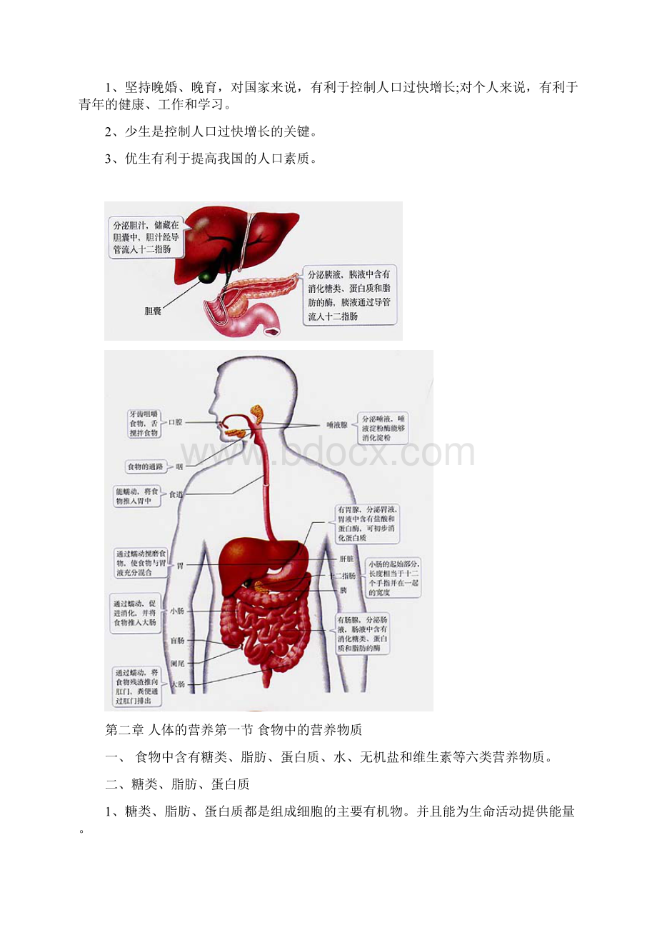 七年级下册生物复习提纲 1Word格式文档下载.docx_第2页