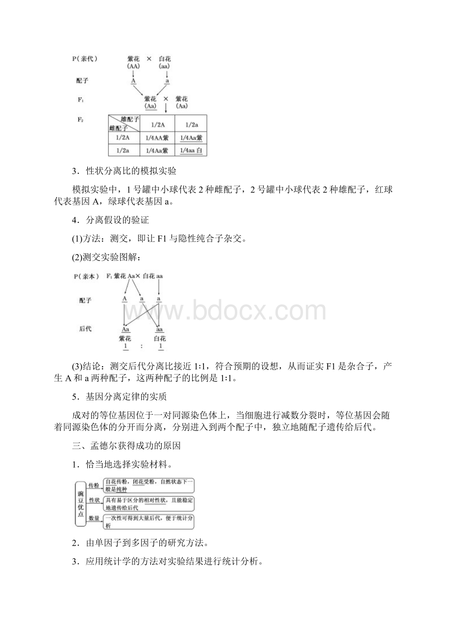 新苏教版生物必修2同步讲义基因的分离定律Word格式.docx_第3页