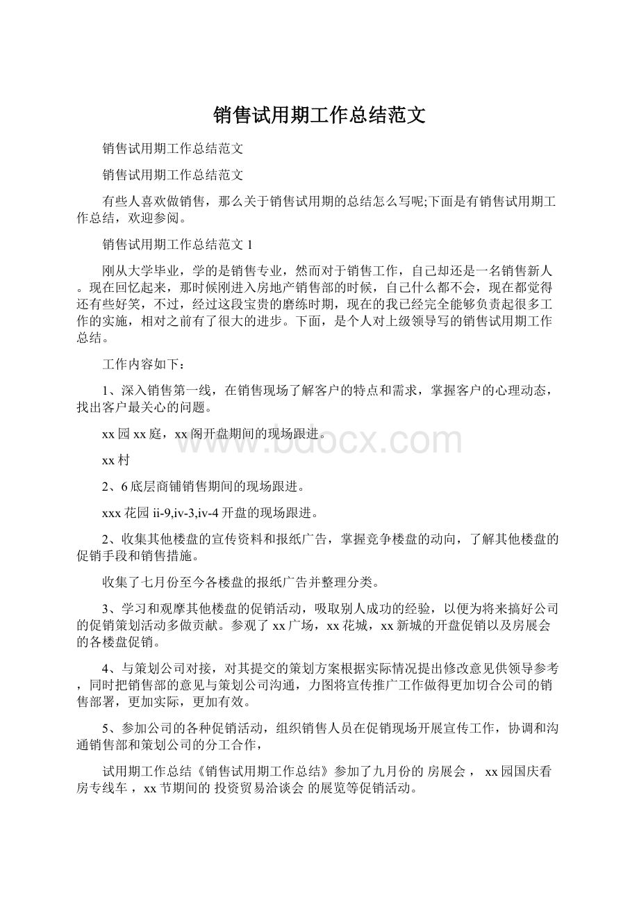 销售试用期工作总结范文Word文档格式.docx