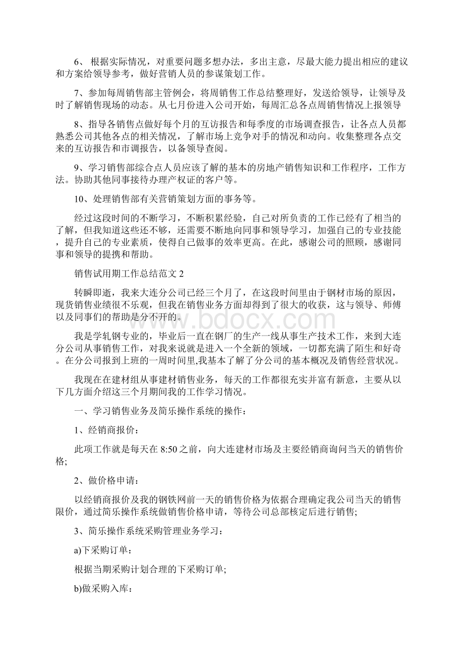 销售试用期工作总结范文Word文档格式.docx_第2页