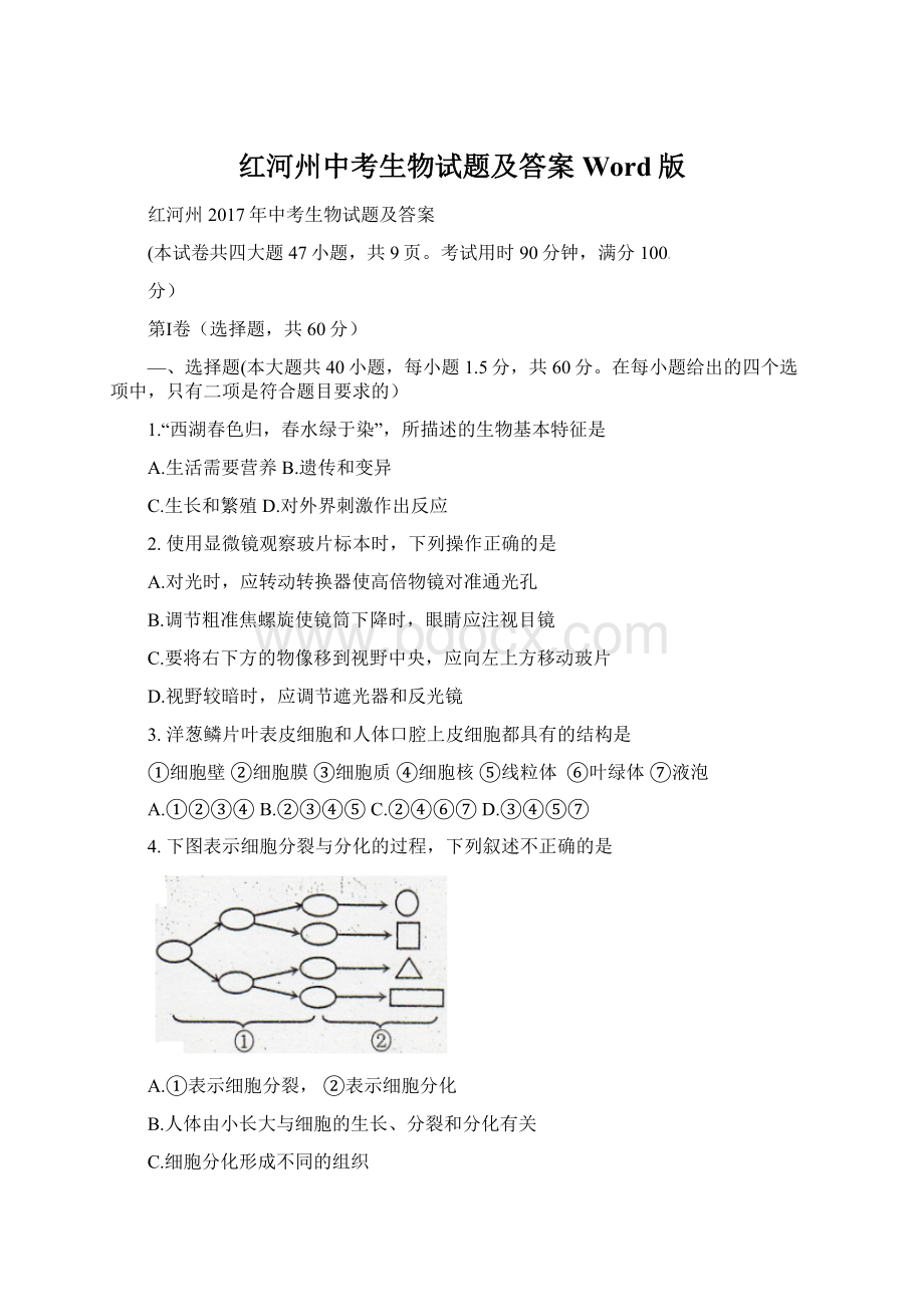 红河州中考生物试题及答案Word版Word文档下载推荐.docx_第1页