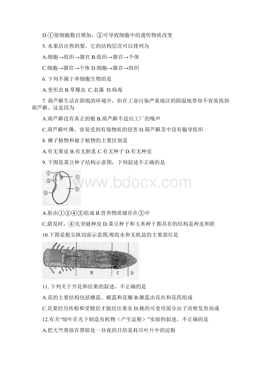 红河州中考生物试题及答案Word版Word文档下载推荐.docx_第2页