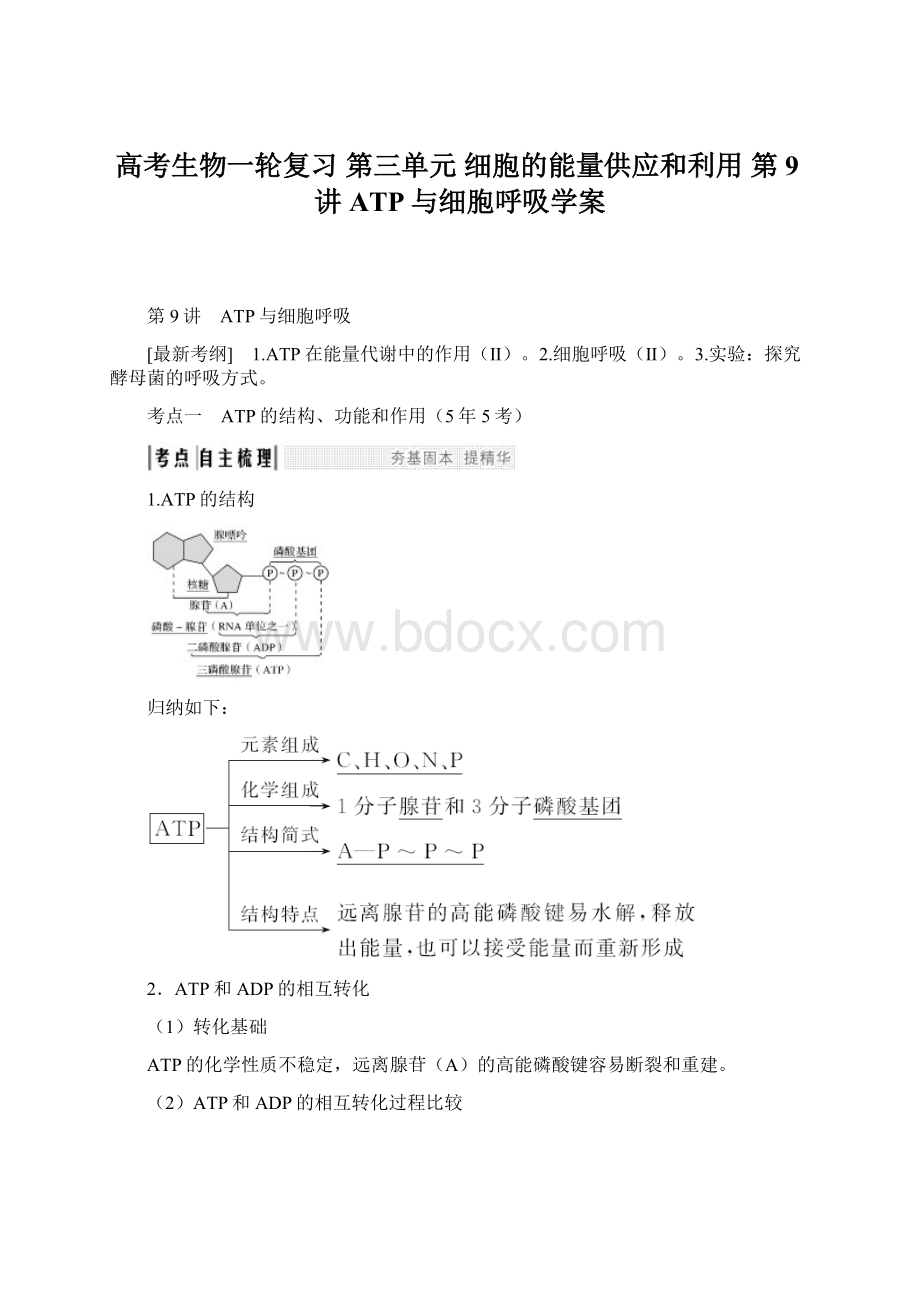 高考生物一轮复习 第三单元 细胞的能量供应和利用 第9讲 ATP与细胞呼吸学案Word下载.docx_第1页