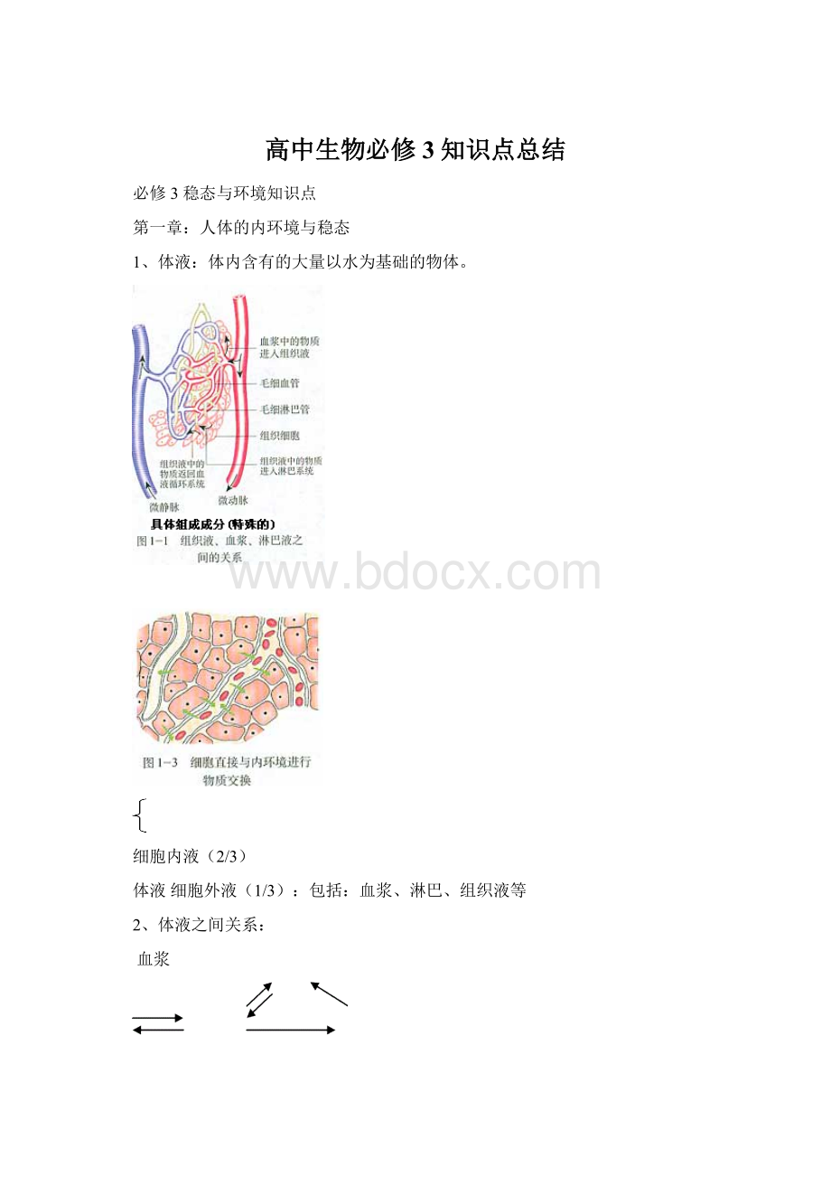 高中生物必修3知识点总结Word文档下载推荐.docx