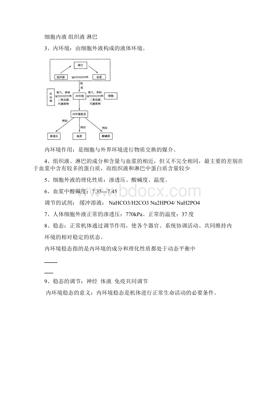 高中生物必修3知识点总结Word文档下载推荐.docx_第2页