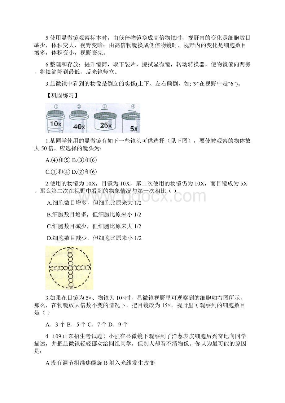 七年级生物上册生物体的结构层次复习资料济南版Word格式.docx_第2页