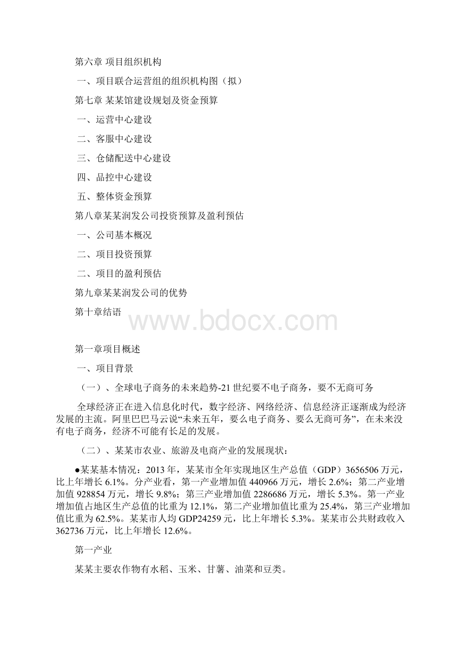 淘宝特色中国馆项目可行性研究报告Word文档下载推荐.docx_第2页