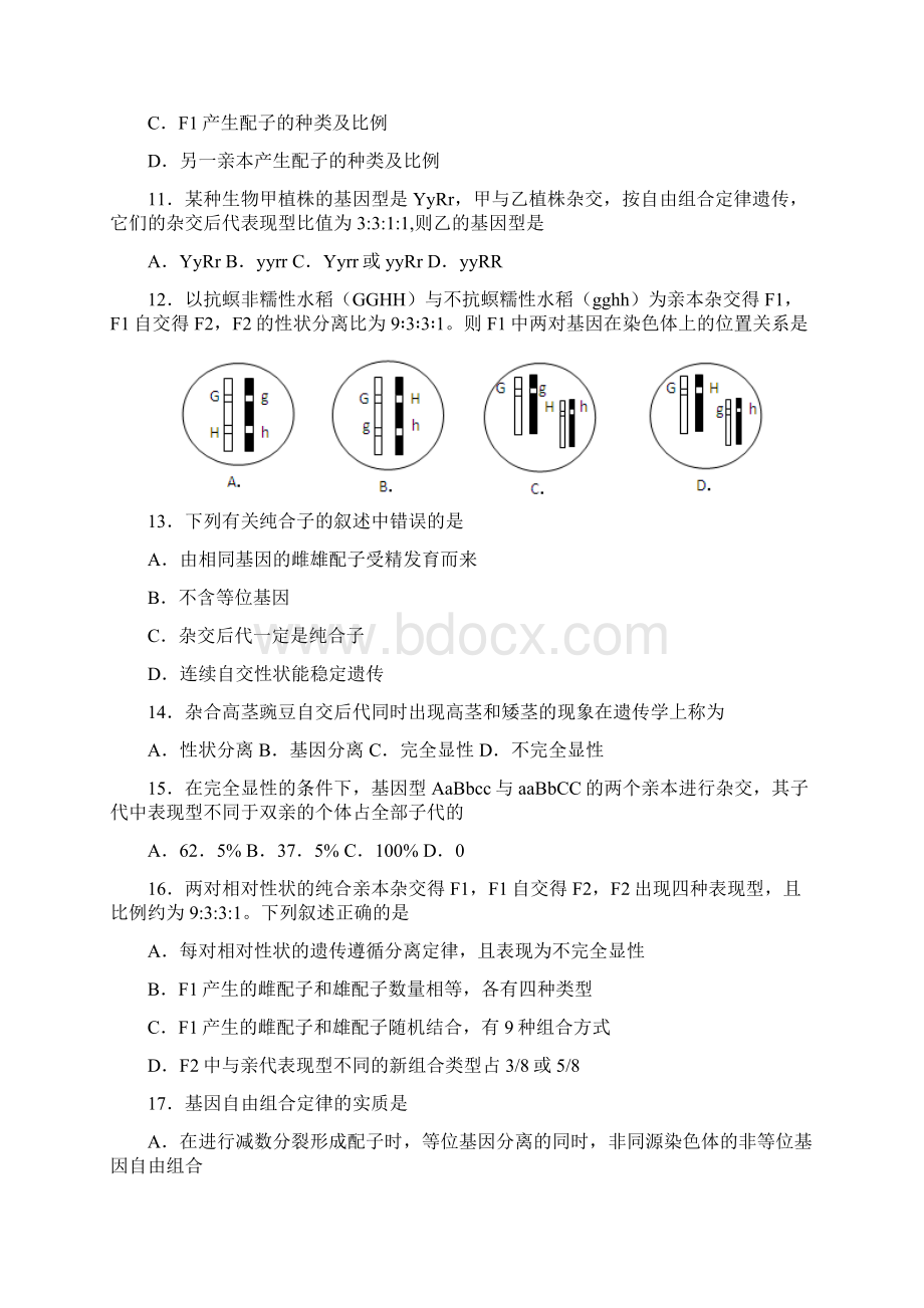 苏教版 遗传和染色体 单元测试文档格式.docx_第3页