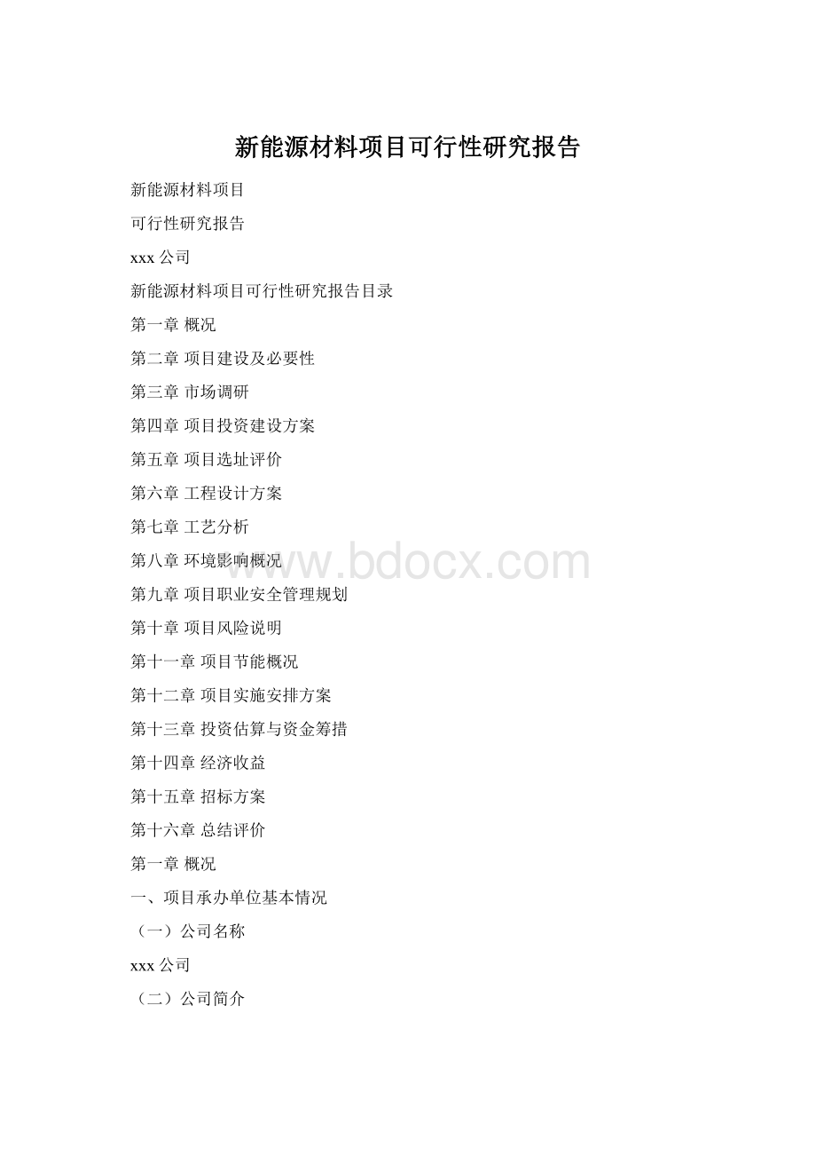 新能源材料项目可行性研究报告.docx