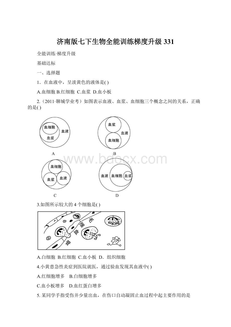 济南版七下生物全能训练梯度升级 331.docx_第1页