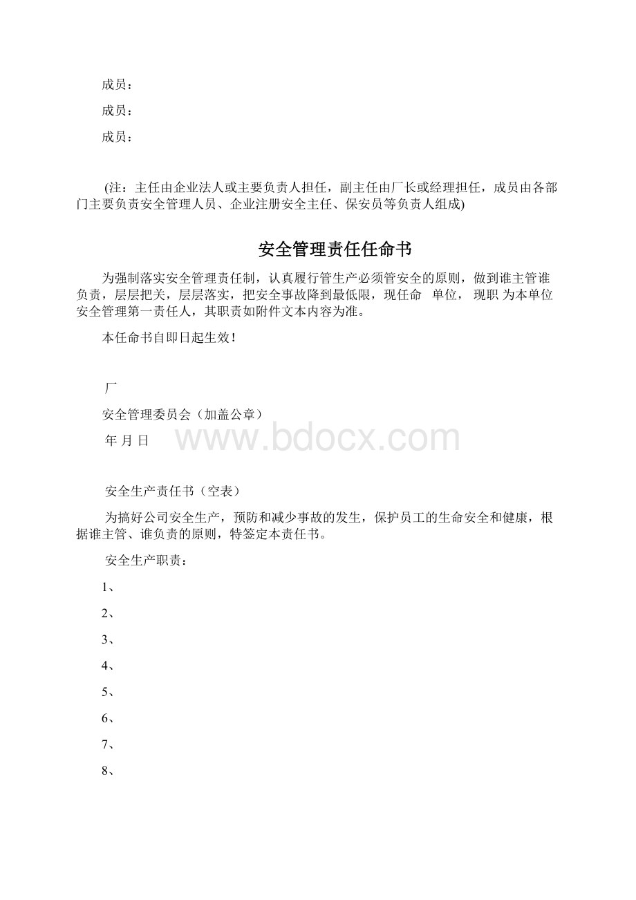 安全管理组织架构Word格式.docx_第2页