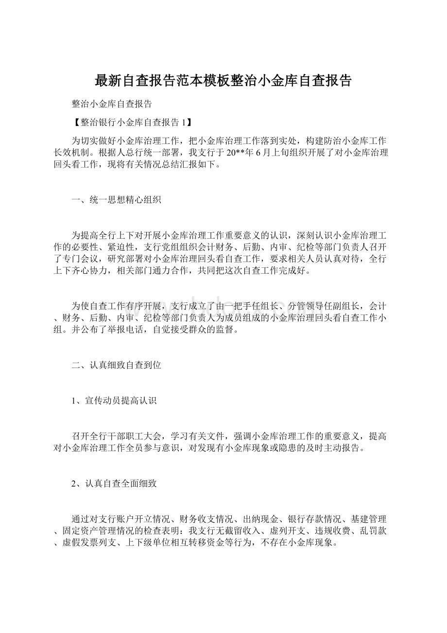 最新自查报告范本模板整治小金库自查报告Word文档下载推荐.docx