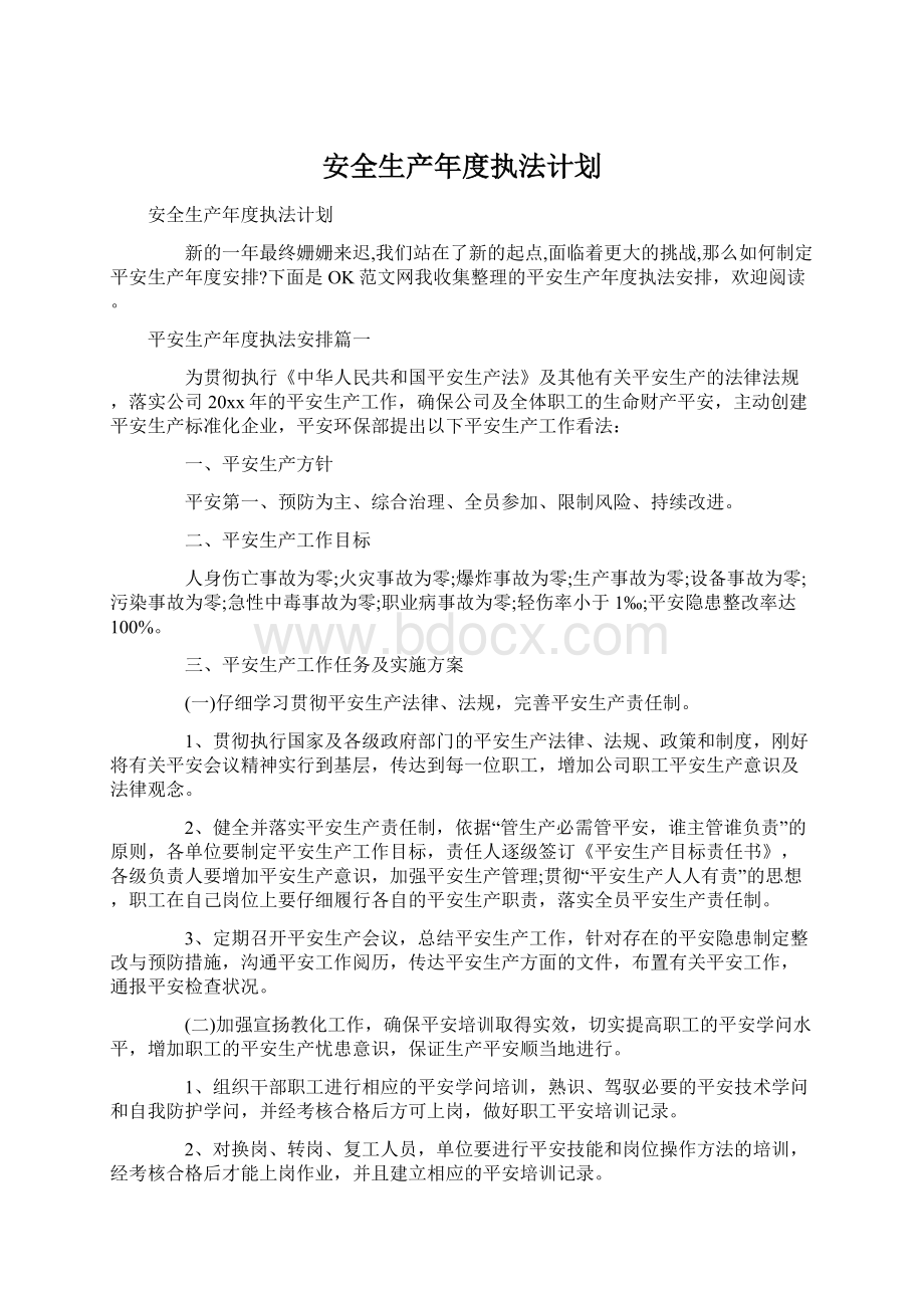 安全生产年度执法计划.docx_第1页