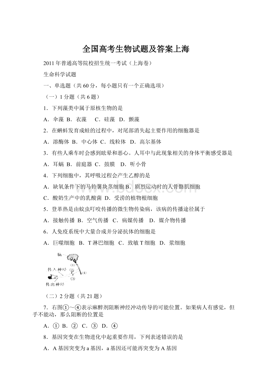 全国高考生物试题及答案上海Word文档格式.docx