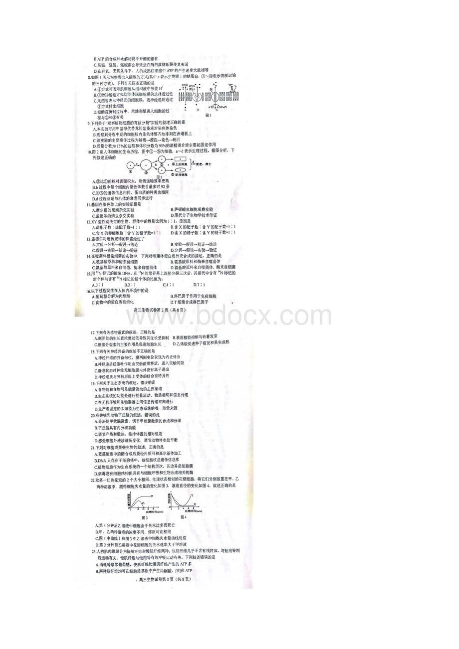 河北省廊坊市届高三生物上学期期末考试试题扫描版.docx_第2页