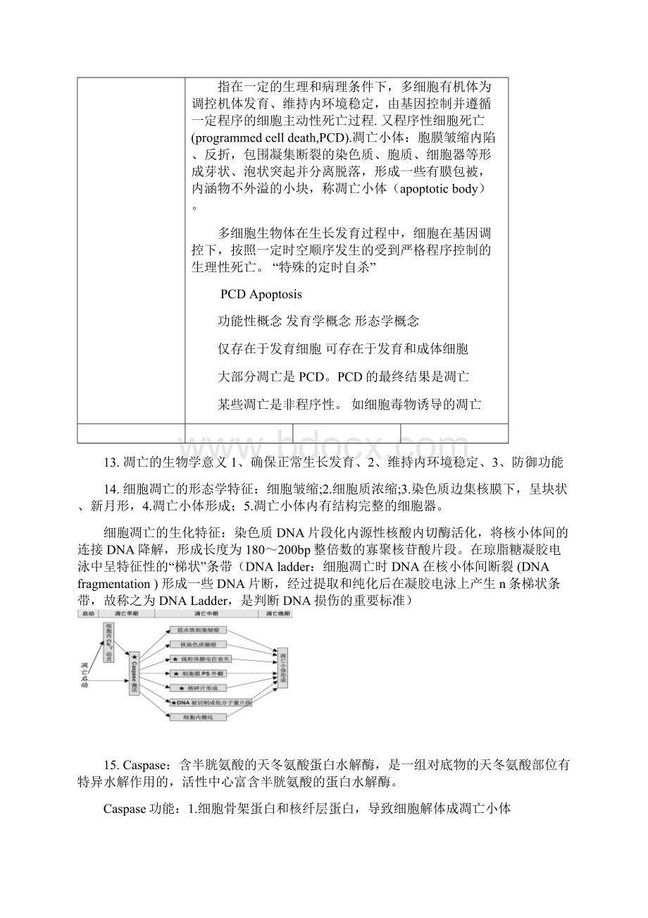 研究生分子生物学知识点精编版.docx_第3页