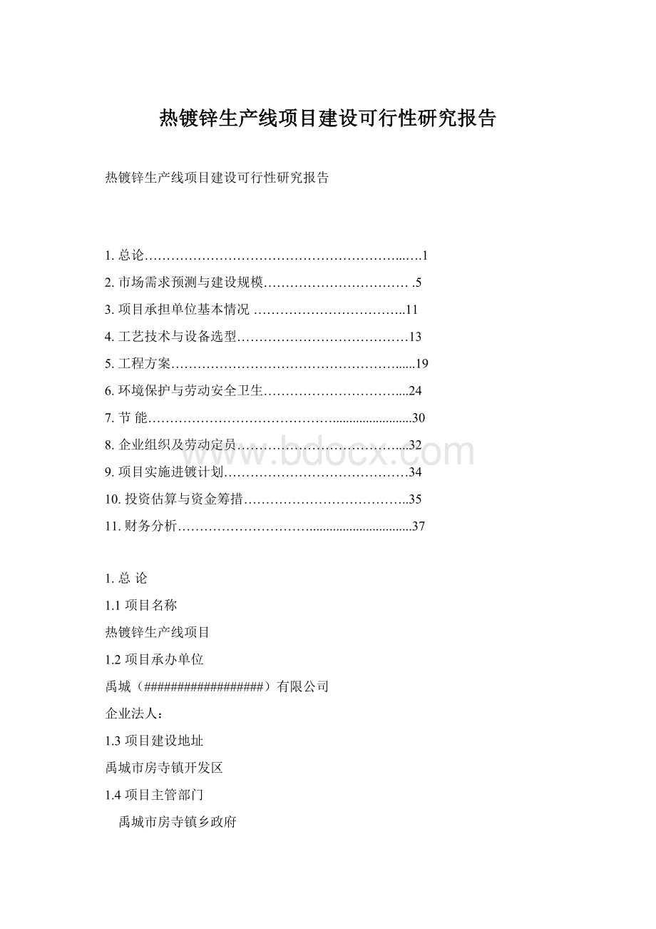 热镀锌生产线项目建设可行性研究报告.docx_第1页