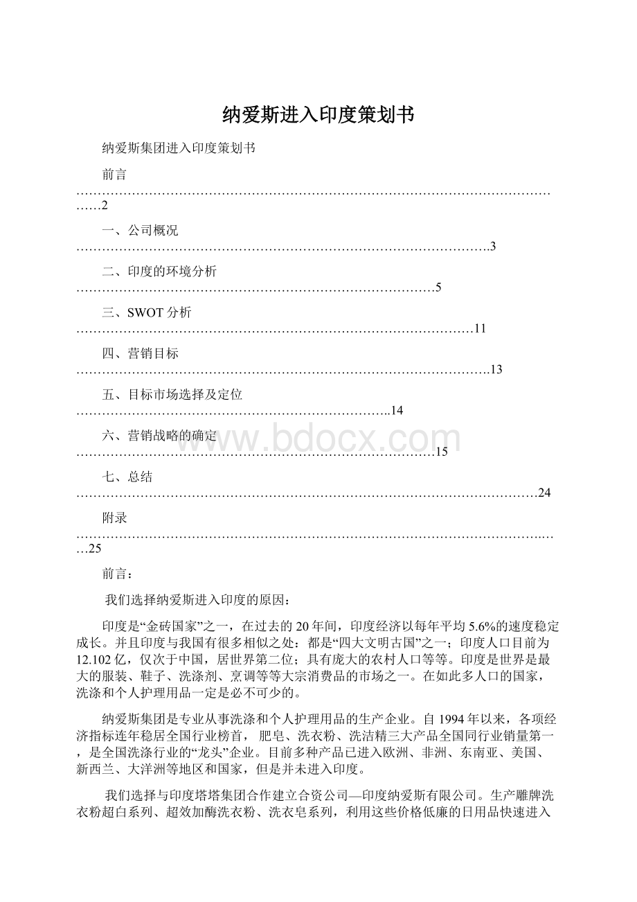 纳爱斯进入印度策划书.docx_第1页