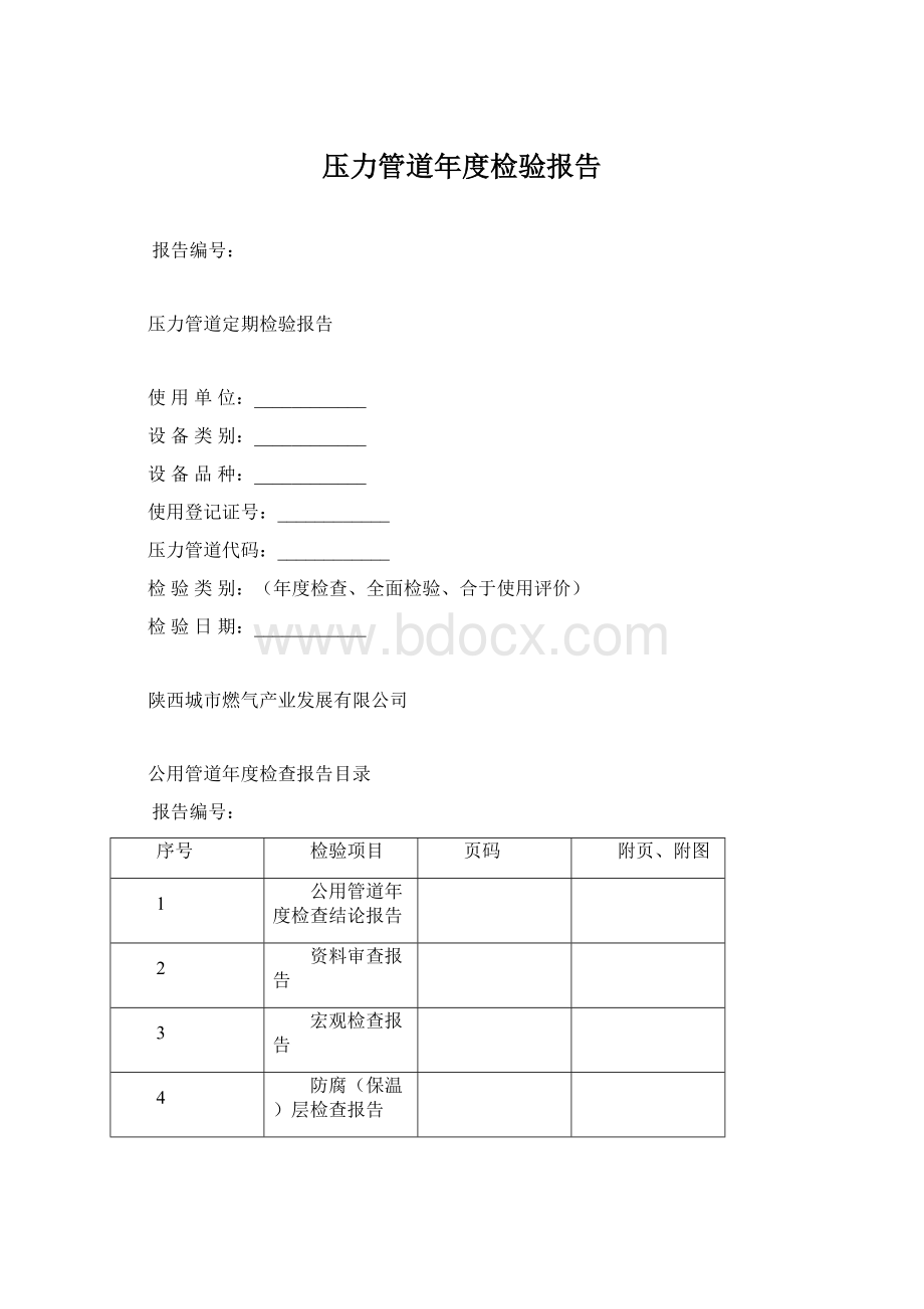 压力管道年度检验报告Word文档格式.docx_第1页