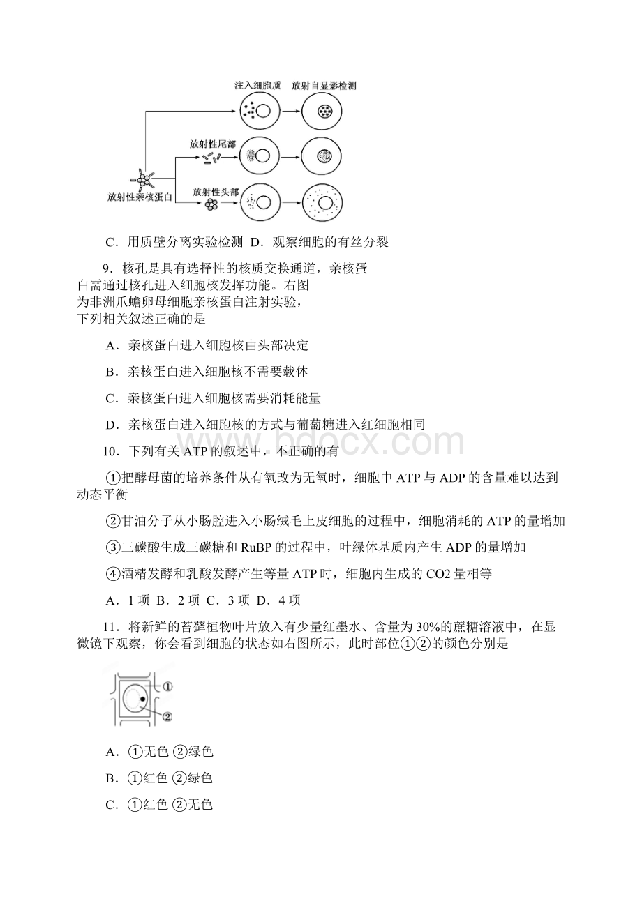 浙江省余杭高级中学届届高三第二次阶段性检测生物.docx_第3页