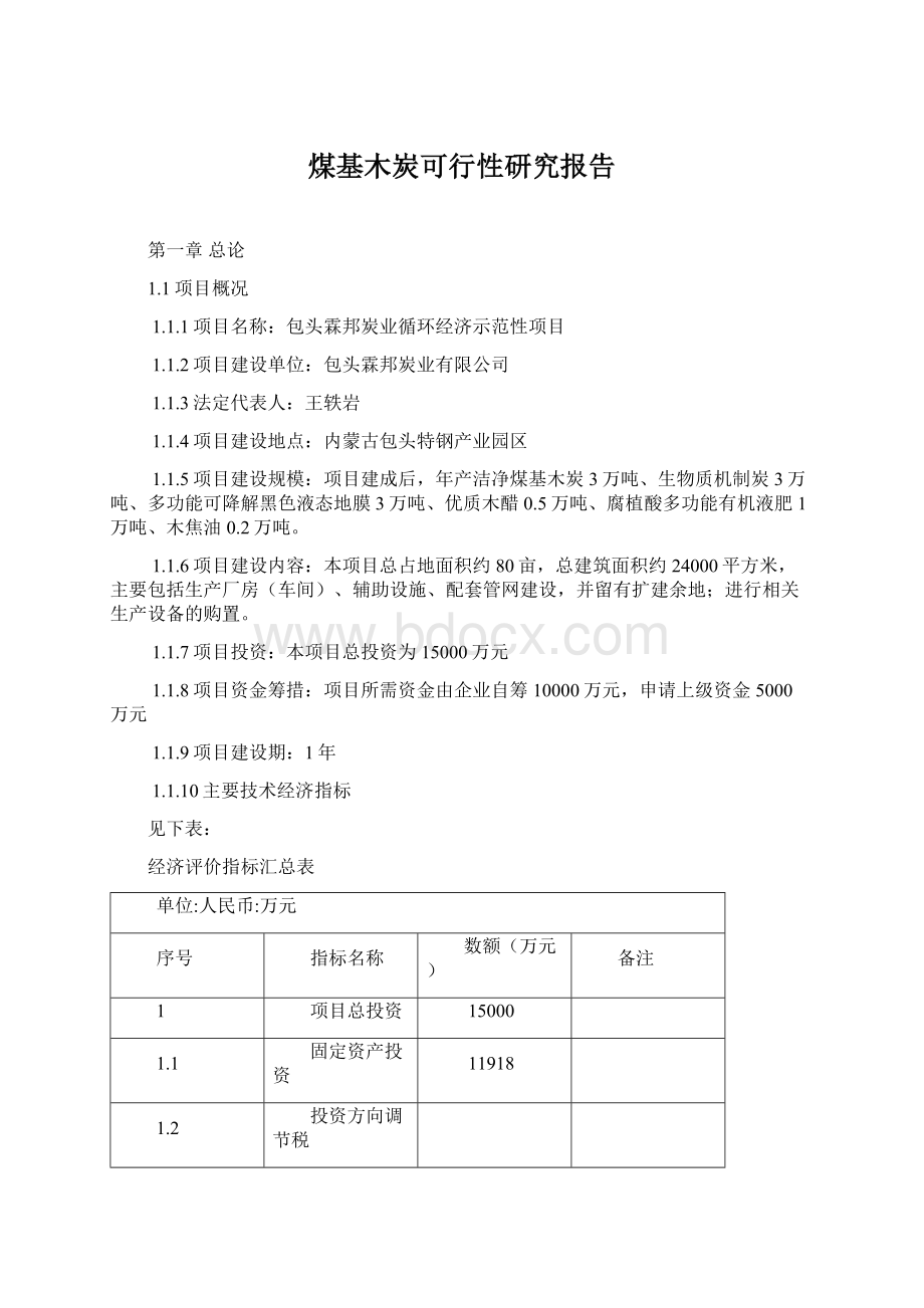 煤基木炭可行性研究报告.docx