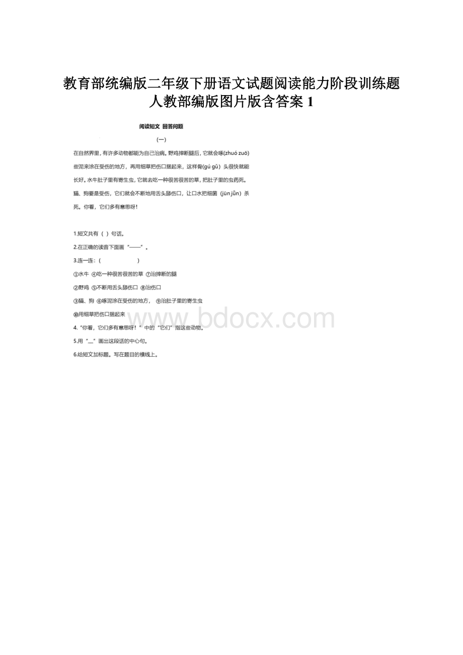 教育部统编版二年级下册语文试题阅读能力阶段训练题 人教部编版图片版含答案 1.docx