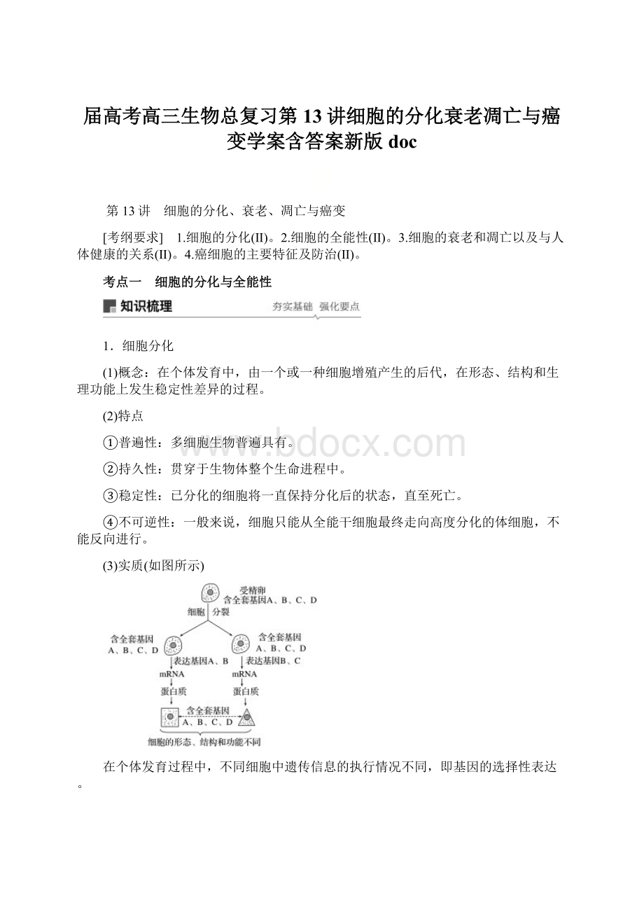 届高考高三生物总复习第13讲细胞的分化衰老凋亡与癌变学案含答案新版doc文档格式.docx_第1页