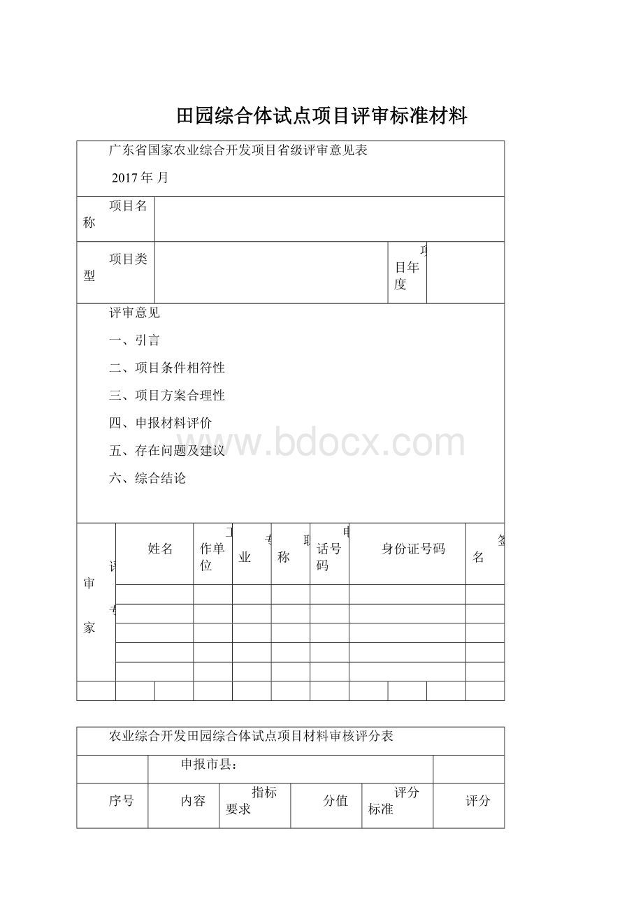 田园综合体试点项目评审标准材料文档格式.docx_第1页