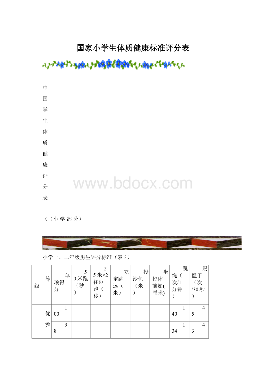 国家小学生体质健康标准评分表Word格式.docx