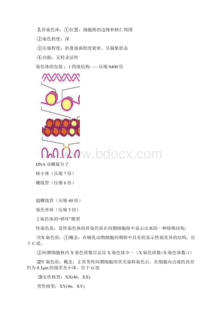 遗传学考试总结.docx_第2页