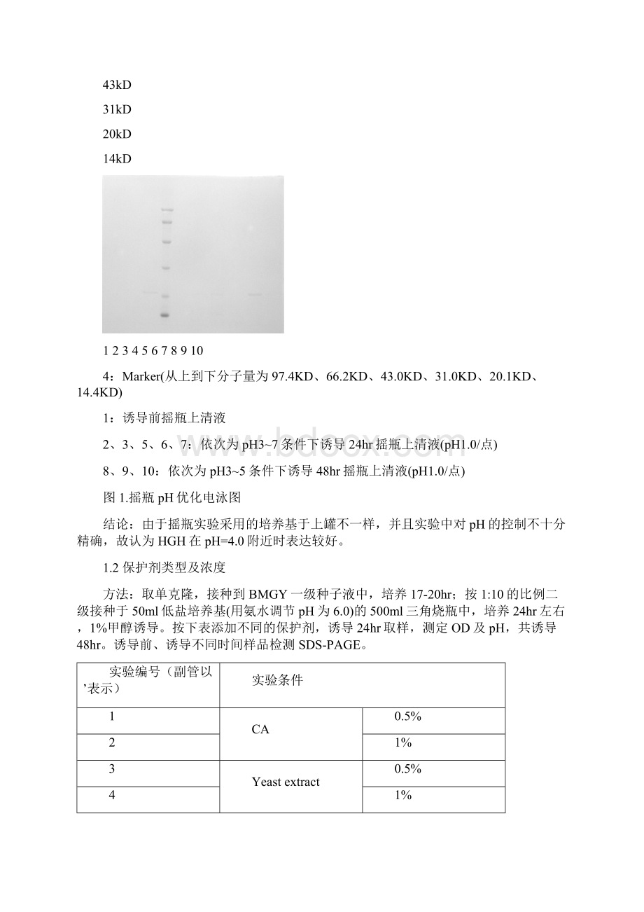 HGH发酵和纯化工艺.docx_第2页