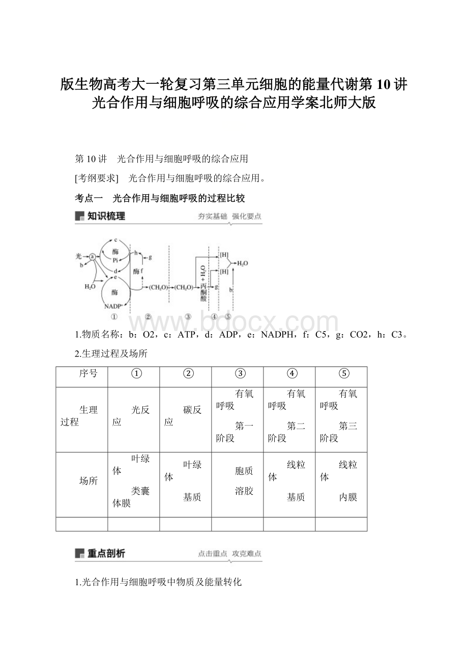 版生物高考大一轮复习第三单元细胞的能量代谢第10讲光合作用与细胞呼吸的综合应用学案北师大版Word文件下载.docx