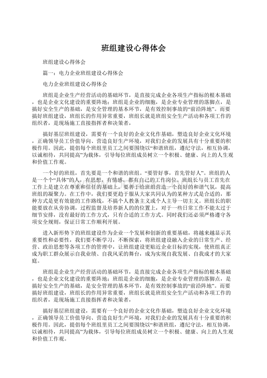 班组建设心得体会.docx