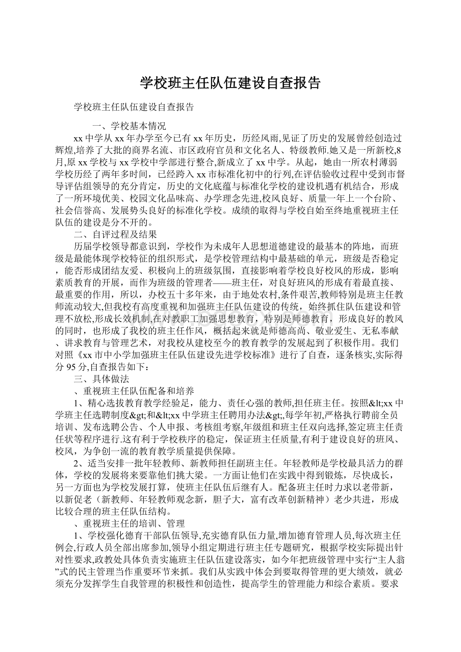 学校班主任队伍建设自查报告.docx