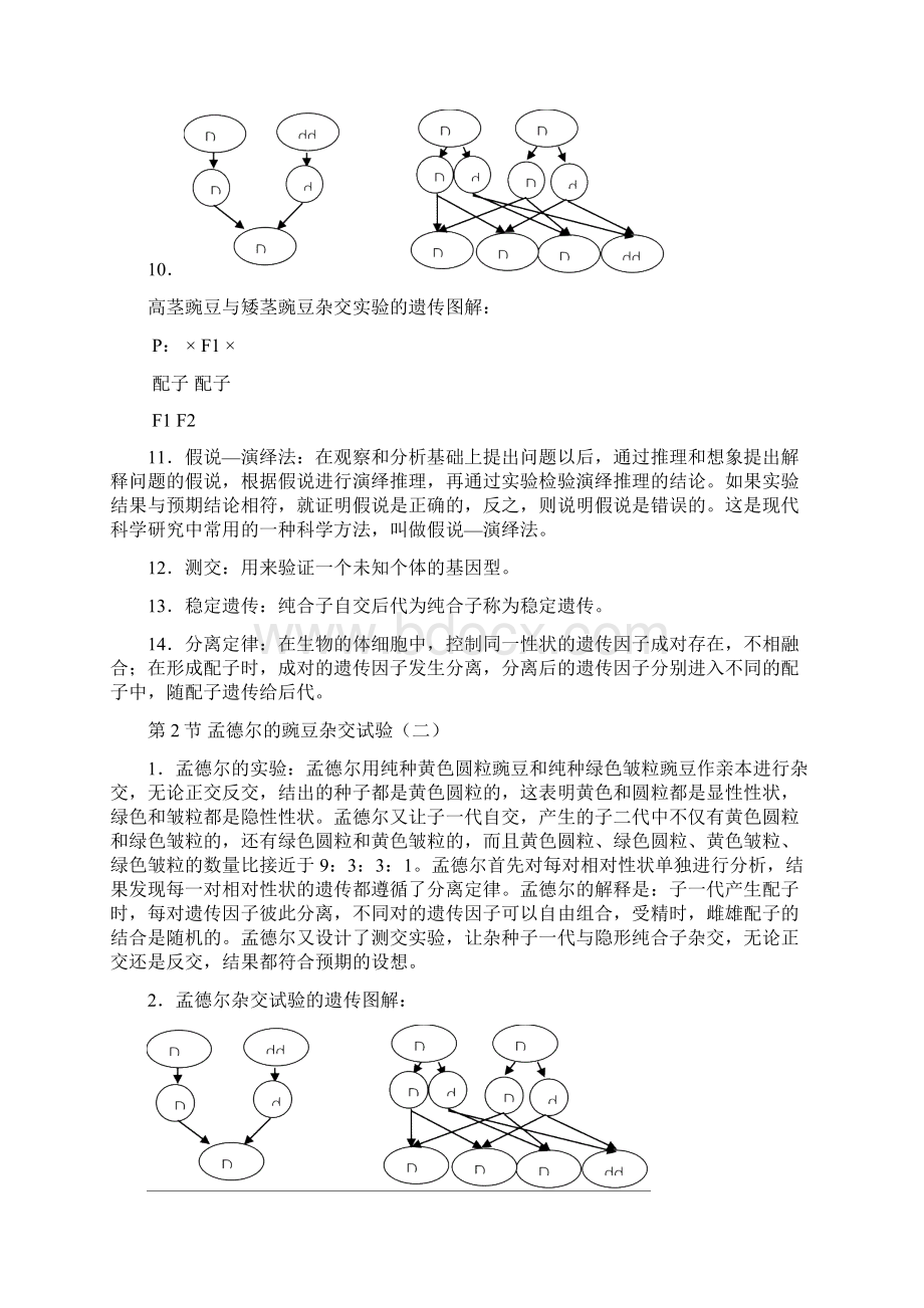 高中生物必修二遗传与进化知识点.docx_第2页