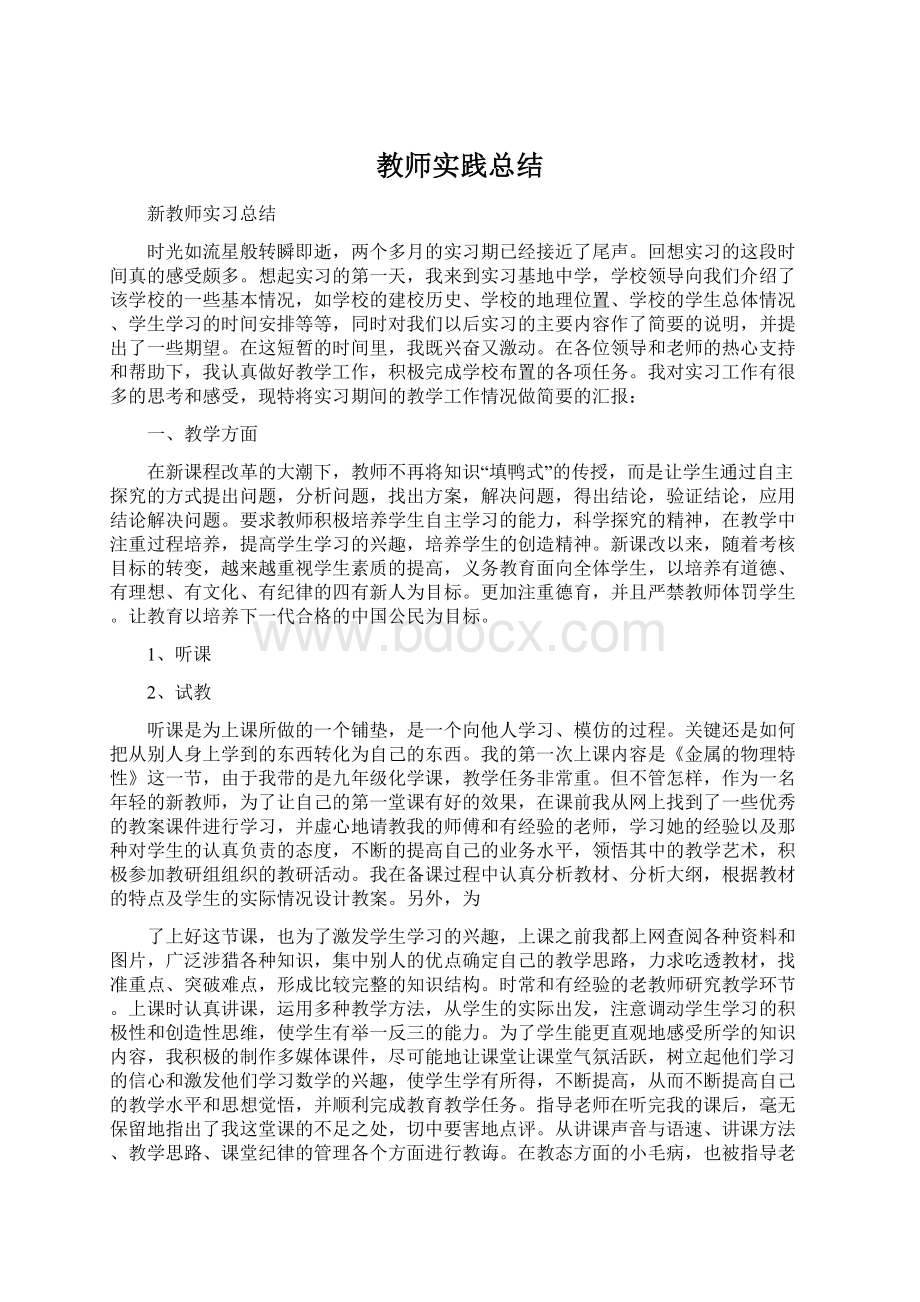 教师实践总结Word下载.docx