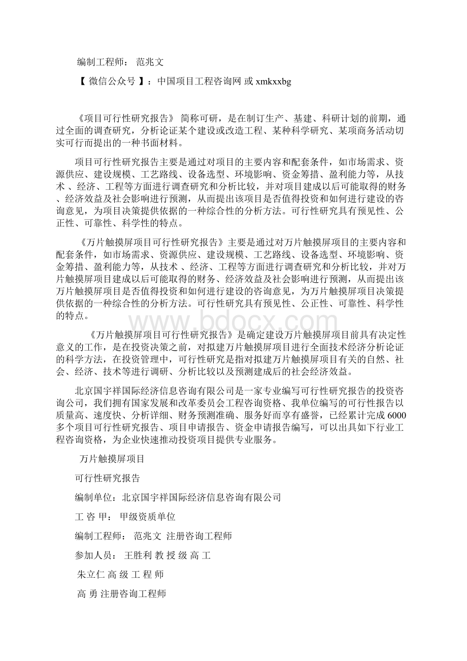 万片触摸屏项目可行性研究报告案例模板Word文档格式.docx_第2页