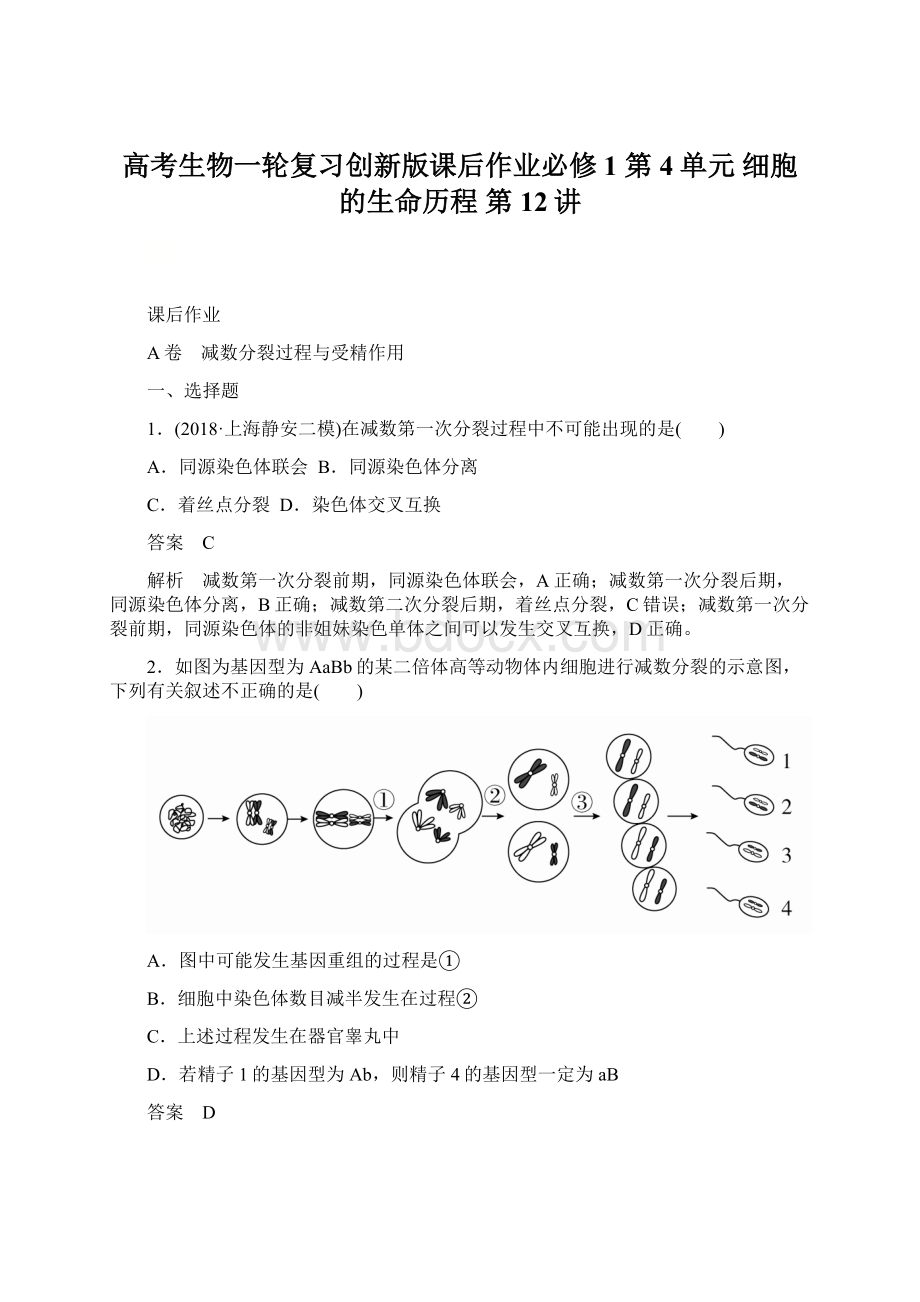 高考生物一轮复习创新版课后作业必修1 第4单元 细胞的生命历程 第12讲Word文档格式.docx