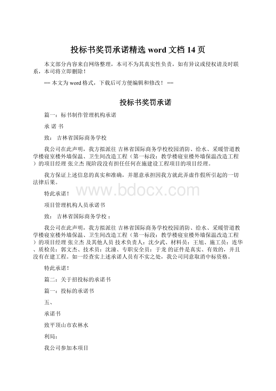 投标书奖罚承诺精选word文档 14页.docx