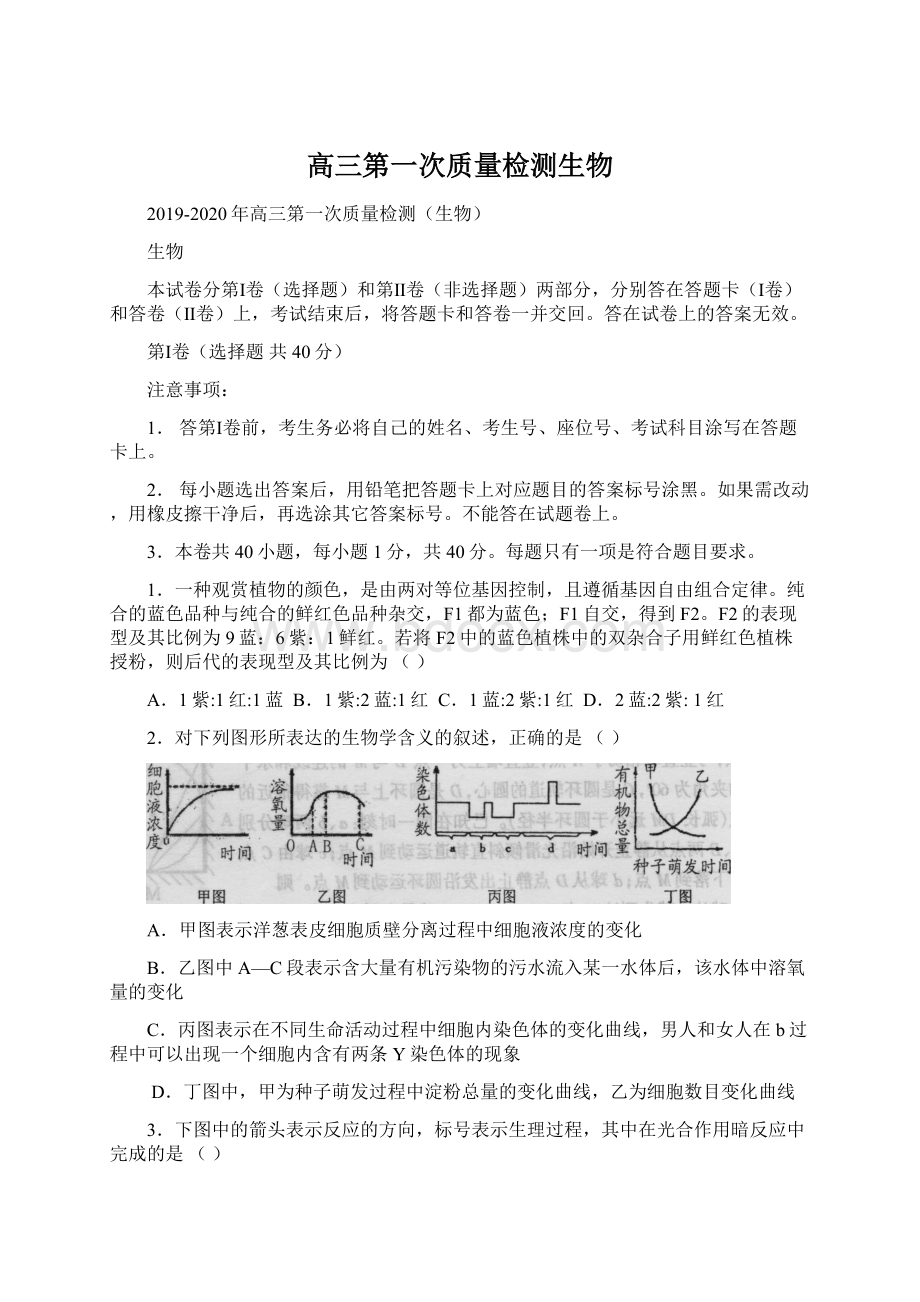 高三第一次质量检测生物Word文档格式.docx_第1页