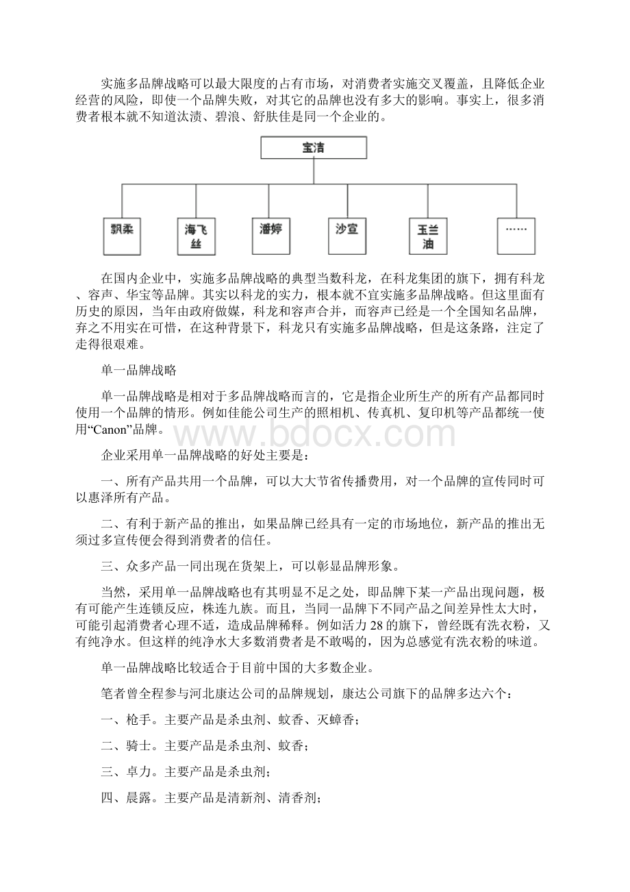 思路决定出路品牌战略规划.docx_第2页